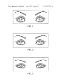 Artificial eyelash and method for applying same diagram and image