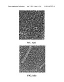 SEMICONDUCTOR NANOPARTICLE/NANOFIBER COMPOSITE ELECTRODES diagram and image