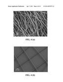 SEMICONDUCTOR NANOPARTICLE/NANOFIBER COMPOSITE ELECTRODES diagram and image