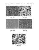 SEMICONDUCTOR NANOPARTICLE/NANOFIBER COMPOSITE ELECTRODES diagram and image