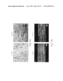 Homogenization and heat-treatment of cast metals diagram and image