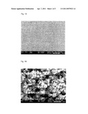 Gas Sensor With a Microporous Electrolyte Layer diagram and image