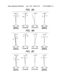 ZOOM LENS AND IMAGE PICKUP APPARATUS INCLUDING THE SAME diagram and image