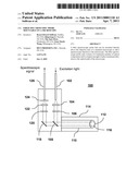 Fiber Spectroscopic Probe Mountable On a Microscope diagram and image