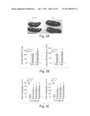 Methods Of Treating Viral Hepatitis diagram and image