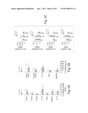 Methods Of Treating Viral Hepatitis diagram and image