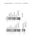 Methods Of Treating Viral Hepatitis diagram and image