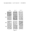 PERIPHERAL-TYPE BENZODIAZEPINE RECEPTOR EXPRESSION LEVEL AS AN INDEX OF ORGAN DAMAGE AND REGENERATION diagram and image