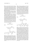 ANTIVIRAL PHOSPHINATE COMPOUNDS diagram and image