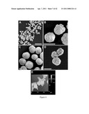 COLLAGEN PEPTIDE CONJUGATES AND USES THEREFOR diagram and image