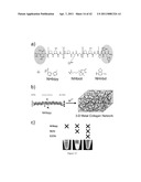 COLLAGEN PEPTIDE CONJUGATES AND USES THEREFOR diagram and image