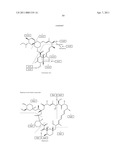 PROCESSING BIOMASS diagram and image