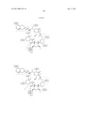 PROCESSING BIOMASS diagram and image