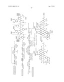 PROCESSING BIOMASS diagram and image