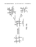 PROCESSING BIOMASS diagram and image