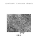 PROCESSING BIOMASS diagram and image