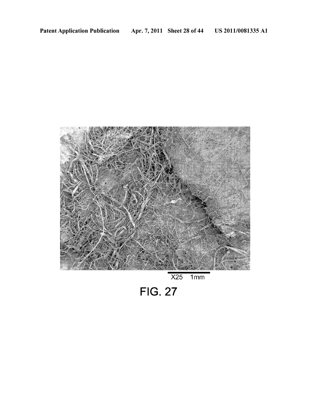 PROCESSING BIOMASS - diagram, schematic, and image 29