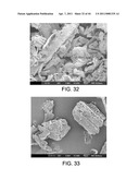 PROCESSING BIOMASS diagram and image