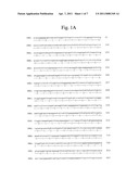 ALLERGENIC LATEX PROTEIN diagram and image