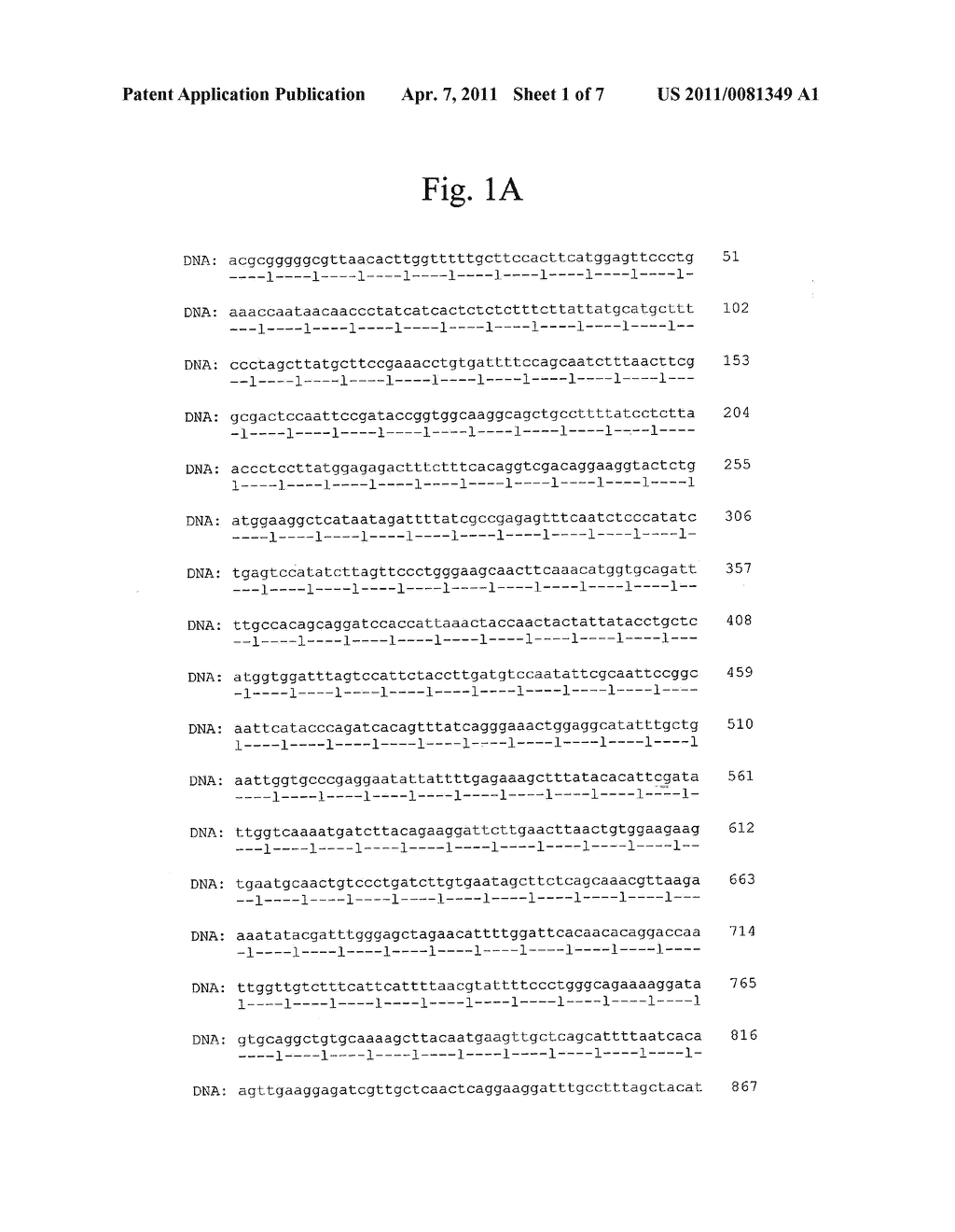 ALLERGENIC LATEX PROTEIN - diagram, schematic, and image 02