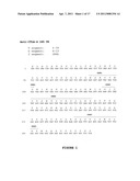 ANTI-CTLA-4 ANTIBODIES WITH REDUCED BLOCKING OF BINDING OF CTLA-4 TO B7 AND USES THEREOF diagram and image