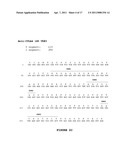 ANTI-CTLA-4 ANTIBODIES WITH REDUCED BLOCKING OF BINDING OF CTLA-4 TO B7 AND USES THEREOF diagram and image