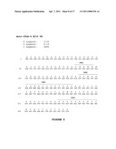 ANTI-CTLA-4 ANTIBODIES WITH REDUCED BLOCKING OF BINDING OF CTLA-4 TO B7 AND USES THEREOF diagram and image