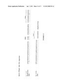 ANTI-CTLA-4 ANTIBODIES WITH REDUCED BLOCKING OF BINDING OF CTLA-4 TO B7 AND USES THEREOF diagram and image