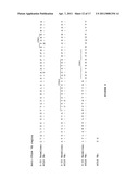 ANTI-CTLA-4 ANTIBODIES WITH REDUCED BLOCKING OF BINDING OF CTLA-4 TO B7 AND USES THEREOF diagram and image