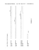 ANTI-CTLA-4 ANTIBODIES WITH REDUCED BLOCKING OF BINDING OF CTLA-4 TO B7 AND USES THEREOF diagram and image