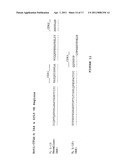 ANTI-CTLA-4 ANTIBODIES WITH REDUCED BLOCKING OF BINDING OF CTLA-4 TO B7 AND USES THEREOF diagram and image