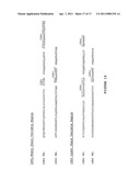 ANTI-CTLA-4 ANTIBODIES WITH REDUCED BLOCKING OF BINDING OF CTLA-4 TO B7 AND USES THEREOF diagram and image