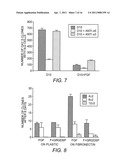 Alpha 5 beta 1 and its ability to regulate the cell survival pathway diagram and image