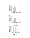 Alpha 5 beta 1 and its ability to regulate the cell survival pathway diagram and image