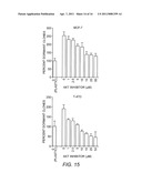 Alpha 5 beta 1 and its ability to regulate the cell survival pathway diagram and image