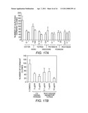 Alpha 5 beta 1 and its ability to regulate the cell survival pathway diagram and image