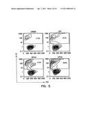 IMMUNE MODULATION WITH DEATH RECEPTOR-INDUCED APOPTOSIS diagram and image