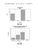 CHIMERIC ADENOVIRAL VECTORS diagram and image