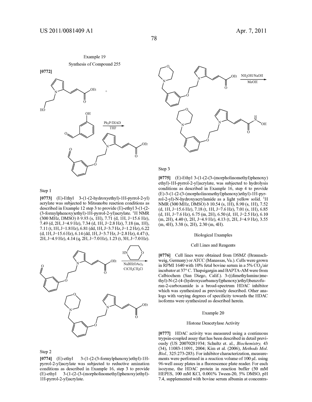 SELECTIVE INHIBITORS OF HISTONE DEACETYLASE - diagram, schematic, and image 83