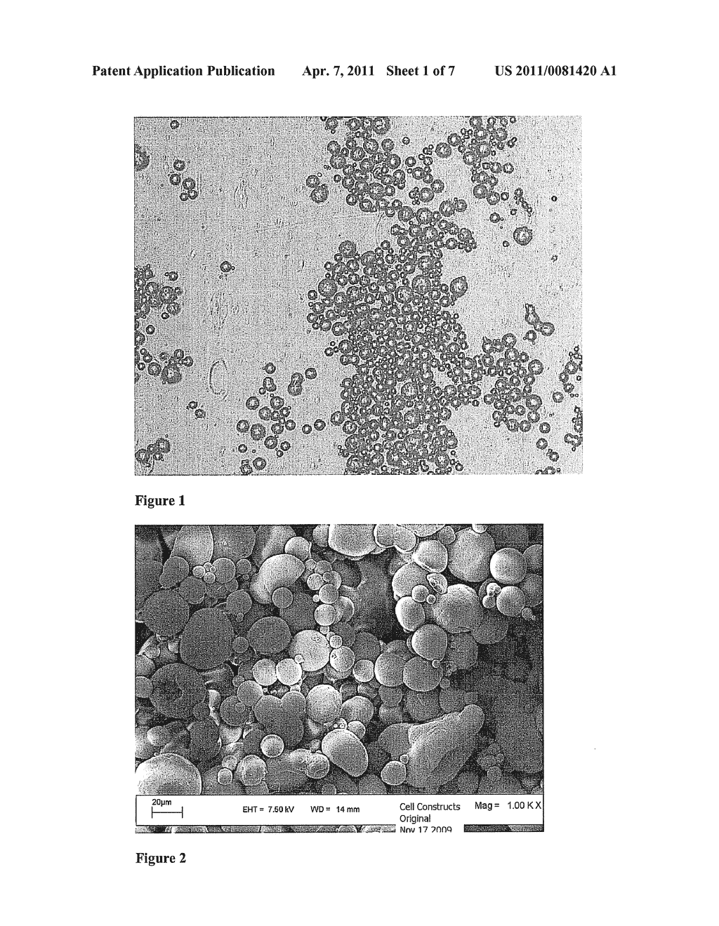 METHOD OF FORMING PROLONGED-RELEASE INJECTABLE STEROIDS - diagram, schematic, and image 02