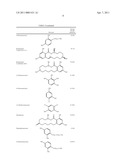 COMPOSITIONS COMPRISING AN NFkB-INHIBITOR AND A NON-RETINOID COLLAGEN PROMOTER diagram and image