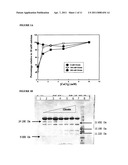 USE AND PRODUCTION OF CITRATE-STABLE NEUTRAL METALLOPROTEASES diagram and image