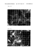 NANOCOMPOSITES CONSISTING OF CARBON NANOTUBE AND METAL AND A PROCESS FOR PREPARING THE SAME diagram and image