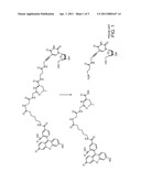 NUCLEOTIDE ANALOGS diagram and image