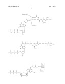 NUCLEOTIDE ANALOGS diagram and image