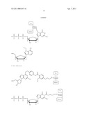 NUCLEOTIDE ANALOGS diagram and image