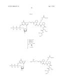 NUCLEOTIDE ANALOGS diagram and image