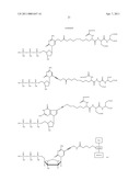 NUCLEOTIDE ANALOGS diagram and image