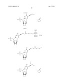 NUCLEOTIDE ANALOGS diagram and image