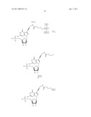 NUCLEOTIDE ANALOGS diagram and image